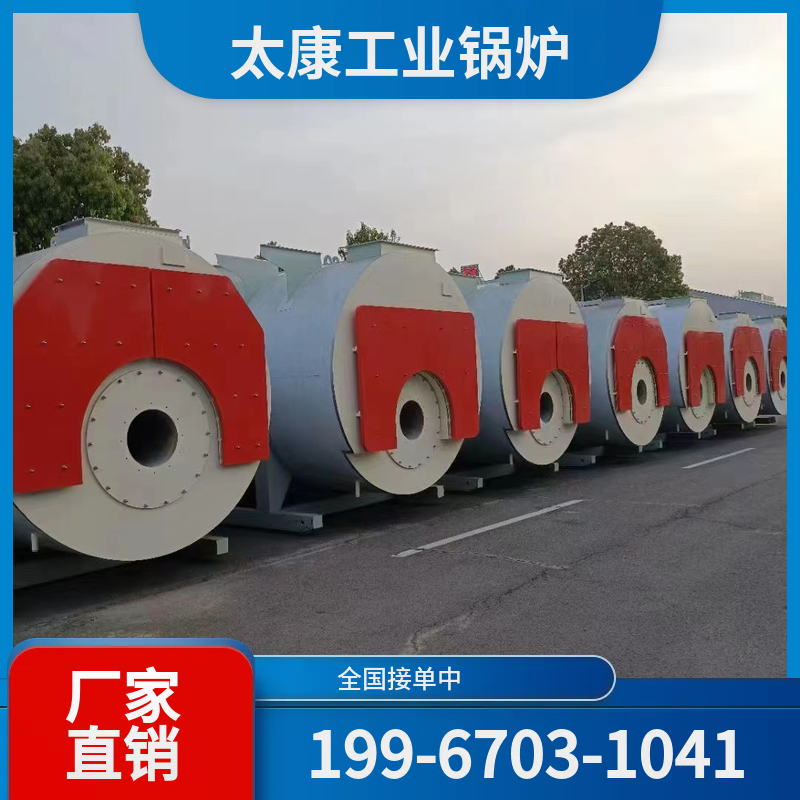 黔东南燃煤导热油锅炉